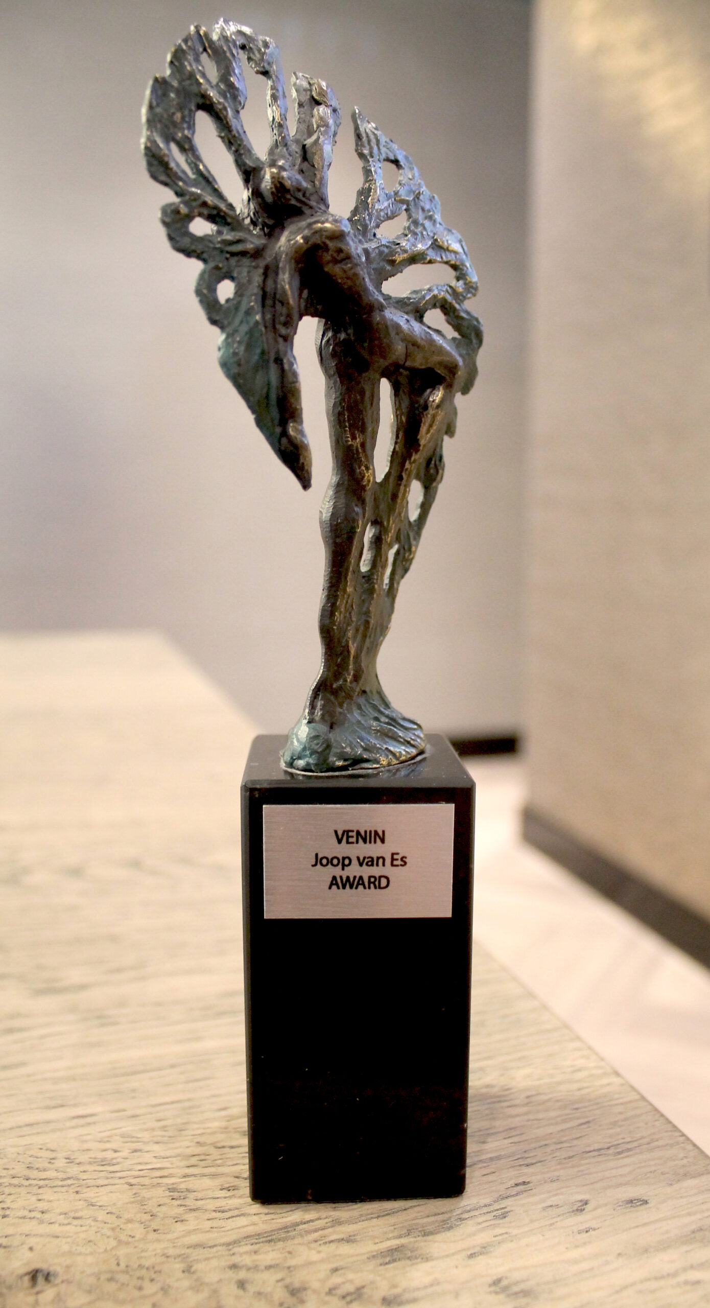 Joop van Es Award 2025